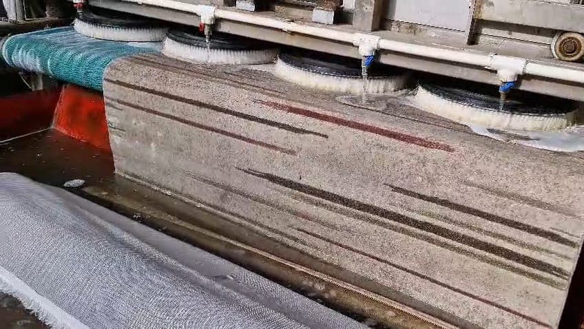 Halı Güvesi Nasıl Önlenir ve Yok Edilir?